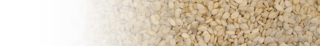Sesame